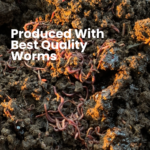 Premium Vermicompost | Soil Manure for Gardening (5 kg) - Image 6