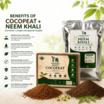 Cocopeat Block 1KG + Neem Khali 1KG | Combo Pack - Image 4
