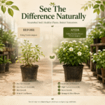 Premium Organic Vermicompost | Organic Fertilizer For Plants - Image 7