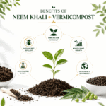 Organic Vermicompost With Neem Khali For Plants - Image 3