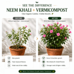 Organic Vermicompost With Neem Khali For Plants - Image 7